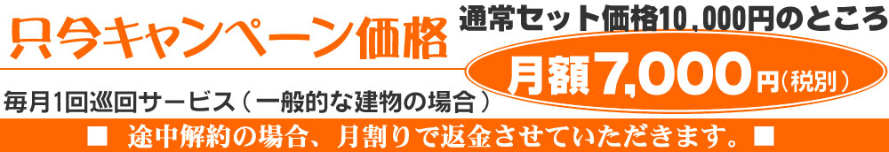 ただいまキャンペーン価格